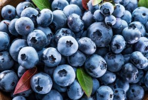Basic Details of blueberries